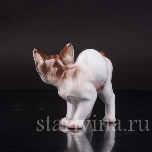 Фарфоровая фигурка Котёнок с выгнутой спинкой, Rosenthal, Германия, 1919-35 гг.