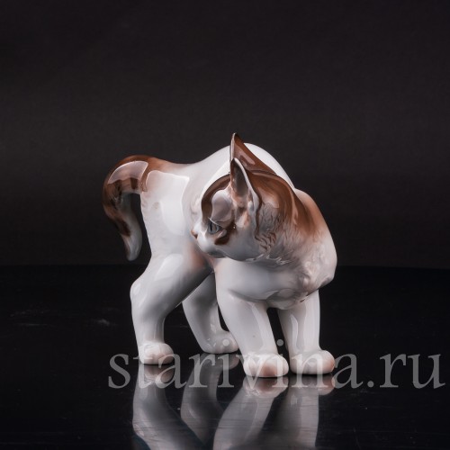 Фарфоровая фигурка Котёнок с выгнутой спинкой, Rosenthal, Германия, 1919-35 гг.