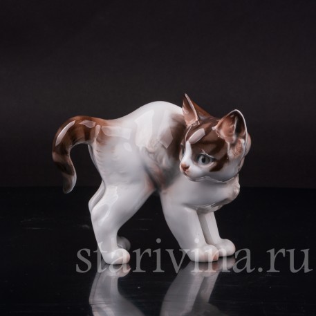 Фарфоровая фигурка Котёнок с выгнутой спинкой, Rosenthal, Германия.