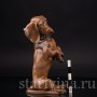 Фарфоровая статуэтка собаки Сидящая такса, Rosenthal, Германия, 1965 г.