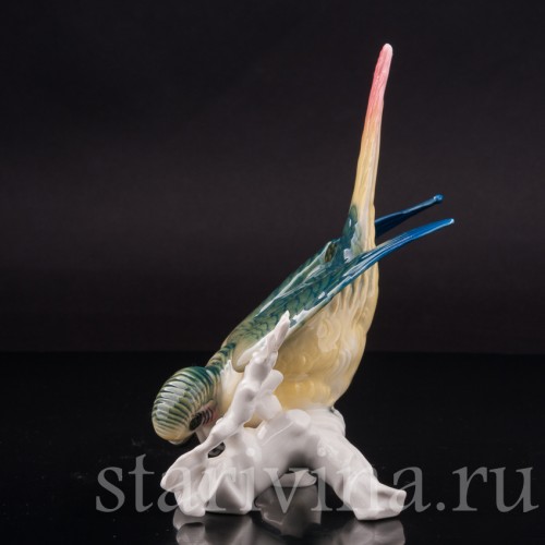 Фарфоровая статуэтка птицы Волнистый попугай, Karl Ens, Германия, 1920-30 гг.