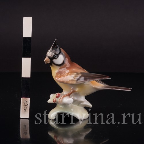 Фигурка птицы из фарфора Хохлатая синица, миниатюра, Hutschenreuther, Германия, 1955-68 гг.