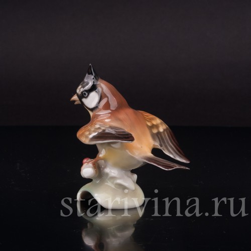 Фигурка птицы из фарфора Хохлатая синица, миниатюра, Hutschenreuther, Германия, 1955-68 гг.