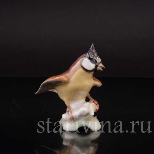 Фигурка птицы из фарфора Хохлатая синица, миниатюра, Hutschenreuther, Германия, 1955-68 гг.