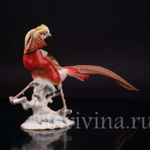 Фарфоровая статуэтка птицы Золотой фазан, Hutschenreuther, Германия, 1950-60 гг.
