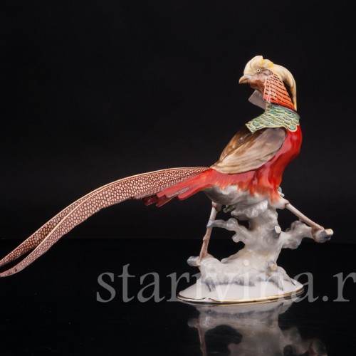 Фарфоровая статуэтка птицы Золотой фазан, Hutschenreuther, Германия, 1950-60 гг.