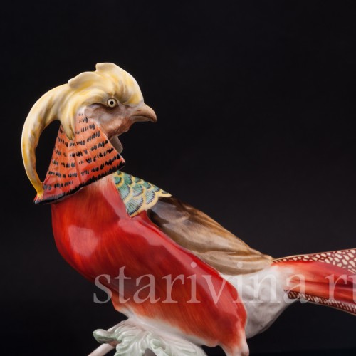 Фарфоровая статуэтка птицы Золотой фазан, Hutschenreuther, Германия, 1950-60 гг.