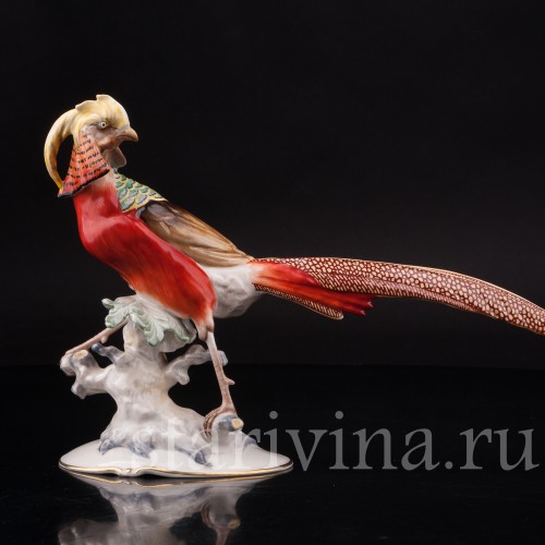 Фарфоровая статуэтка птицы Золотой фазан, Hutschenreuther, Германия, 1950-60 гг.