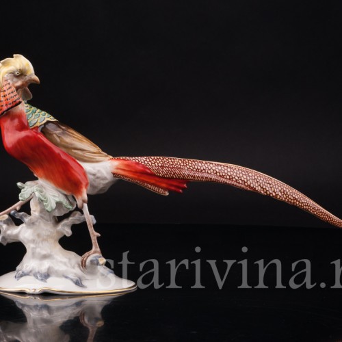 Фарфоровая статуэтка птицы Золотой фазан, Hutschenreuther, Германия, 1950-60 гг.