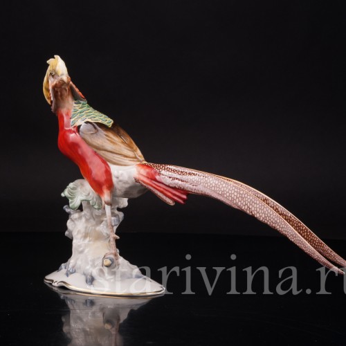 Фарфоровая статуэтка птицы Золотой фазан, Hutschenreuther, Германия, 1950-60 гг.