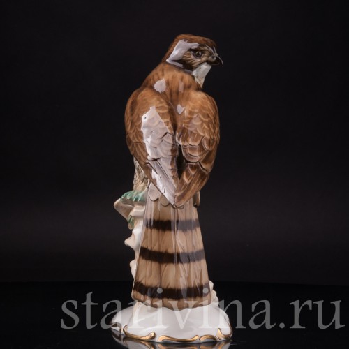 Фарфоровая статуэтка птицы Ястреб-перепелятник, Hutschenreuther, Германия, 1939-64 гг.