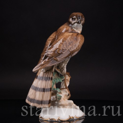 Фарфоровая статуэтка птицы Ястреб-перепелятник, Hutschenreuther, Германия, 1939-64 гг.