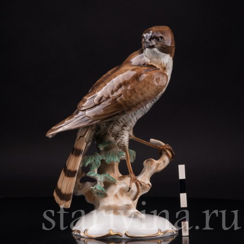 Фарфоровая статуэтка птицы Ястреб-перепелятник, Hutschenreuther, Германия, 1939-64 гг.