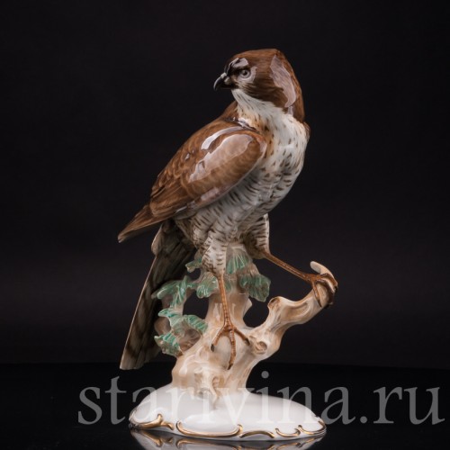 Фарфоровая статуэтка птицы Ястреб-перепелятник, Hutschenreuther, Германия, 1939-64 гг.