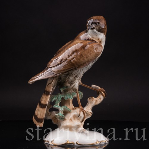 Фарфоровая статуэтка птицы Ястреб-перепелятник, Hutschenreuther, Германия, 1939-64 гг.