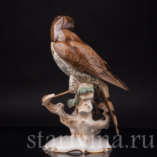 Фарфоровая статуэтка птицы Ястреб-перепелятник, Hutschenreuther, Германия, 1939-64 гг.