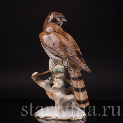 Фарфоровая статуэтка птицы Ястреб-перепелятник, Hutschenreuther, Германия, 1939-64 гг.