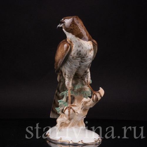 Фарфоровая статуэтка птицы Ястреб-перепелятник, Hutschenreuther, Германия, 1939-64 гг.