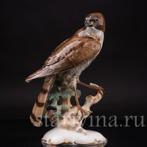 Фарфоровая статуэтка птицы Ястреб-перепелятник, Hutschenreuther, Германия, 1939-64 гг.