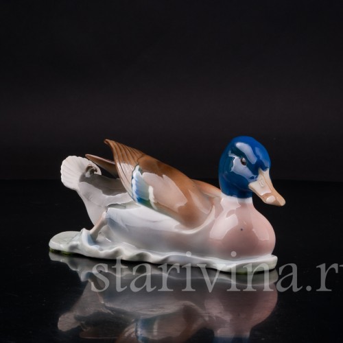 Фигурка птицы из фарфора Плывущий селезень, Metzler & Ortloff, Германия, 1930-72 гг.