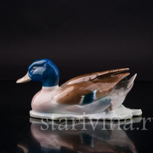 Фигурка птицы из фарфора Плывущий селезень, Metzler & Ortloff, Германия, 1930-72 гг.