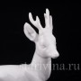 Уцененная статуэтка из фарфора Молодой олень, Rosenthal, Германия, 1930-40 гг.
