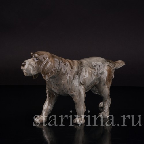 Фарфоровая статуэтка собаки Дратхаар, Hutschenreuther, Германия, 1950-60 гг.