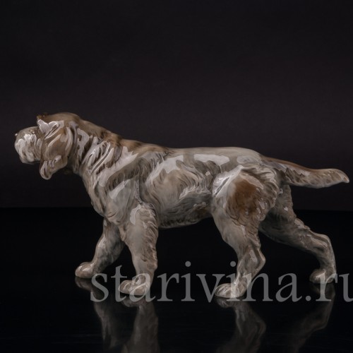 Фарфоровая статуэтка собаки Дратхаар, Hutschenreuther, Германия, 1950-60 гг.