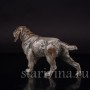 Фарфоровая статуэтка собаки Дратхаар, Hutschenreuther, Германия, 1950-60 гг.
