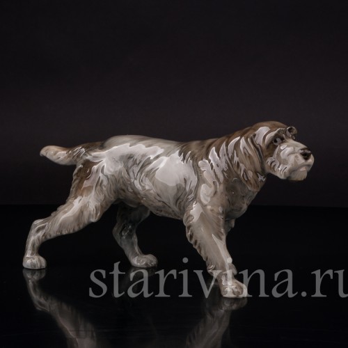 Фарфоровая статуэтка собаки Дратхаар, Hutschenreuther, Германия, 1950-60 гг.