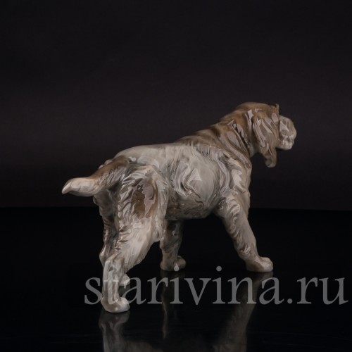 Фарфоровая статуэтка собаки Дратхаар, Hutschenreuther, Германия, 1950-60 гг.