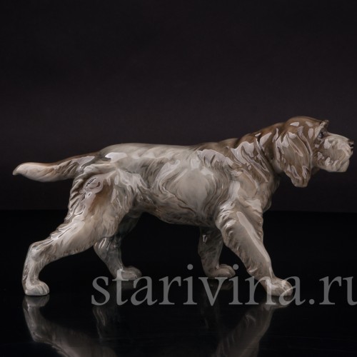 Фарфоровая статуэтка собаки Дратхаар, Hutschenreuther, Германия, 1950-60 гг.