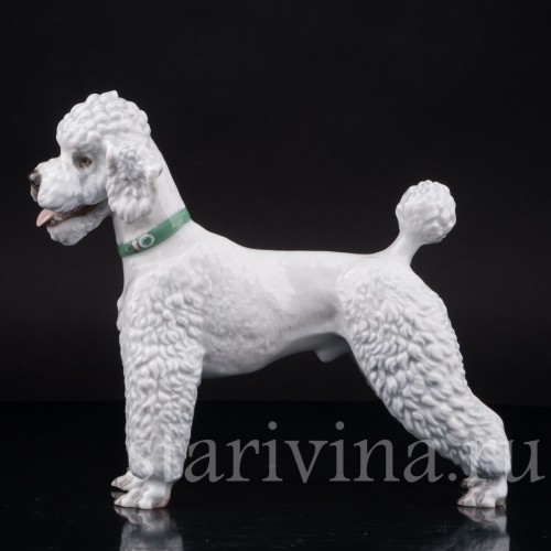 Фарфоровая статуэтка собаки Белый пудель, Rosenthal, Германия, 1950 гг.
