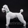 Фарфоровая статуэтка собаки Белый пудель, Rosenthal, Германия, 1950 гг.