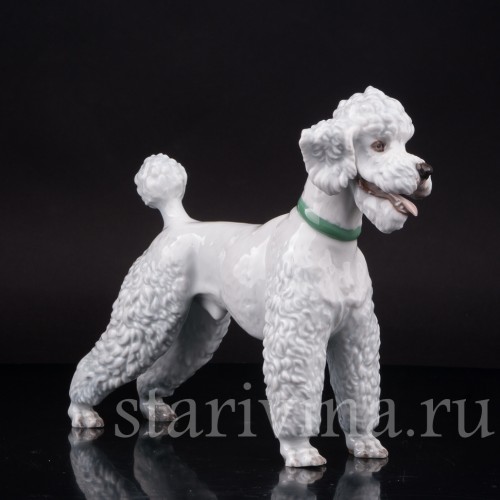 Фарфоровая статуэтка собаки Белый пудель, Rosenthal, Германия, 1950 гг.