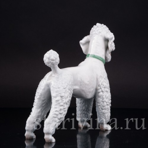 Фарфоровая статуэтка собаки Белый пудель, Rosenthal, Германия, 1950 гг.