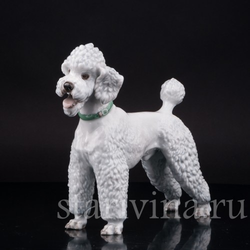 Фарфоровая статуэтка собаки Белый пудель, Rosenthal, Германия, 1950 гг.