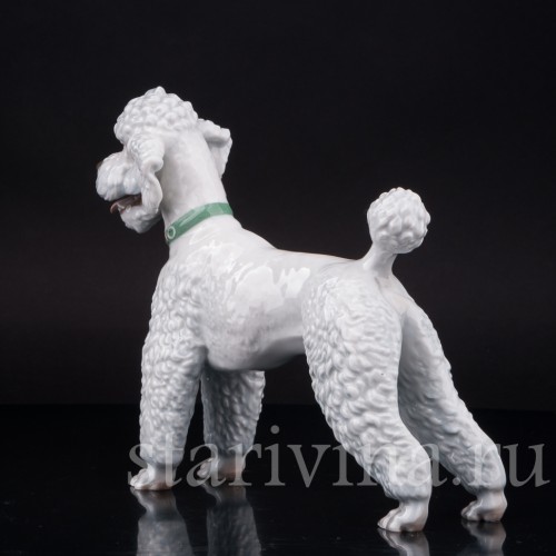 Фарфоровая статуэтка собаки Белый пудель, Rosenthal, Германия, 1950 гг.