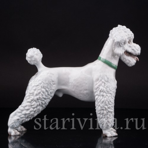 Фарфоровая статуэтка собаки Белый пудель, Rosenthal, Германия, 1950 гг.