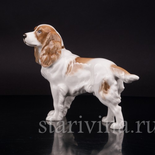 Фарфоровая статуэтка собаки Спаниель, Hutschenreuther, Германия, 1938-55 гг.