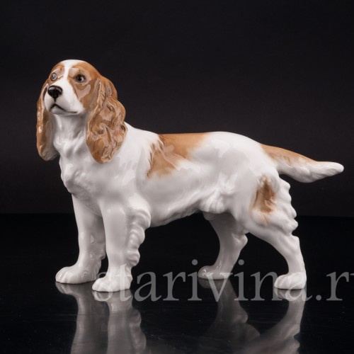 Фарфоровая статуэтка собаки Спаниель, Hutschenreuther, Германия, 1938-55 гг.