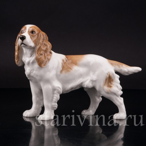 Фарфоровая статуэтка собаки Спаниель, Hutschenreuther, Германия, 1938-55 гг.