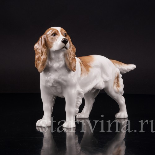 Фарфоровая статуэтка собаки Спаниель, Hutschenreuther, Германия, 1938-55 гг.