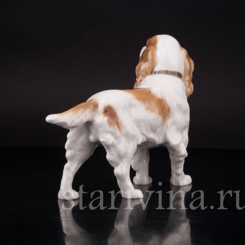 Фарфоровая статуэтка собаки Спаниель, Hutschenreuther, Германия, 1938-55 гг.