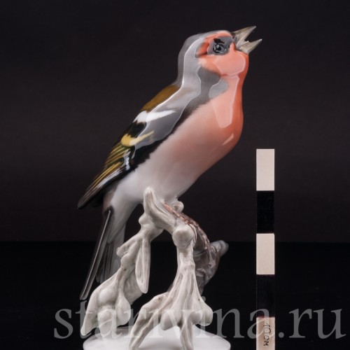 Фигурка птицы из фарфора Поющий зяблик, Rosenthal, Германия, 1950-60 гг.