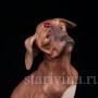 Статуэтка из фарфора Собака с божьей коровкой, Bruno Merli, Италия, 1981  год.