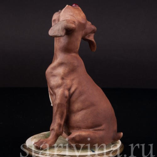 Статуэтка из фарфора Собака с божьей коровкой, Bruno Merli, Италия, 1981  год.