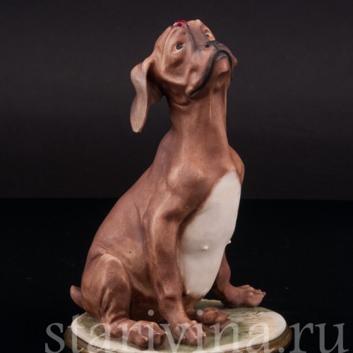 Статуэтка из фарфора Собака с божьей коровкой, Bruno Merli, Италия, 1981  год.