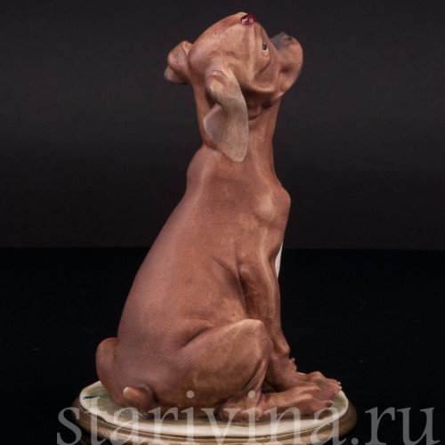 Статуэтка из фарфора Собака с божьей коровкой, Bruno Merli, Италия, 1981  год.