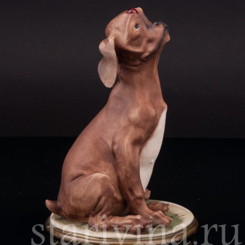 Статуэтка из фарфора Собака с божьей коровкой, Bruno Merli, Италия, 1981  год.